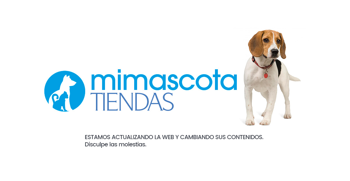 mantenimiento web